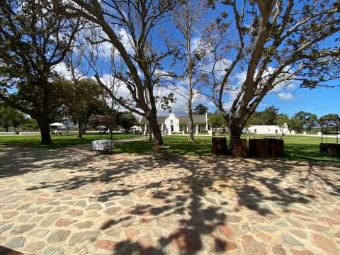 Vergenoegd Löw Homestead Tasting Room — photo 2