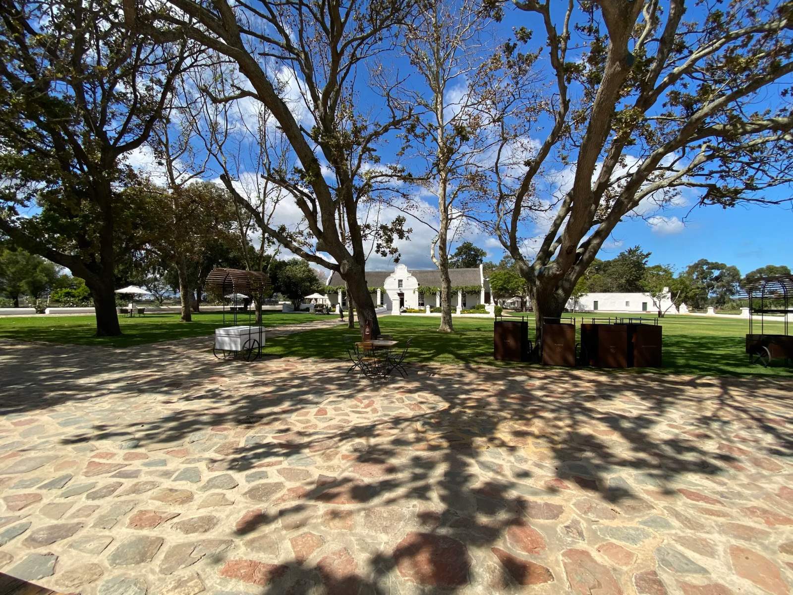 Vergenoegd Löw Homestead Tasting Room — photo 2