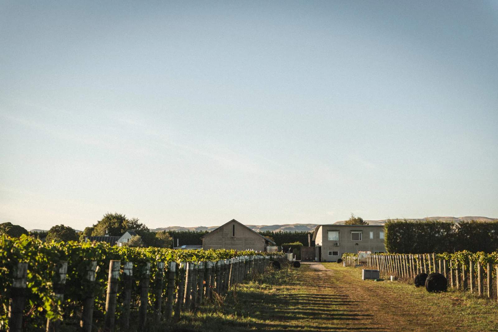 Martinborough Vineyard — photo 2
