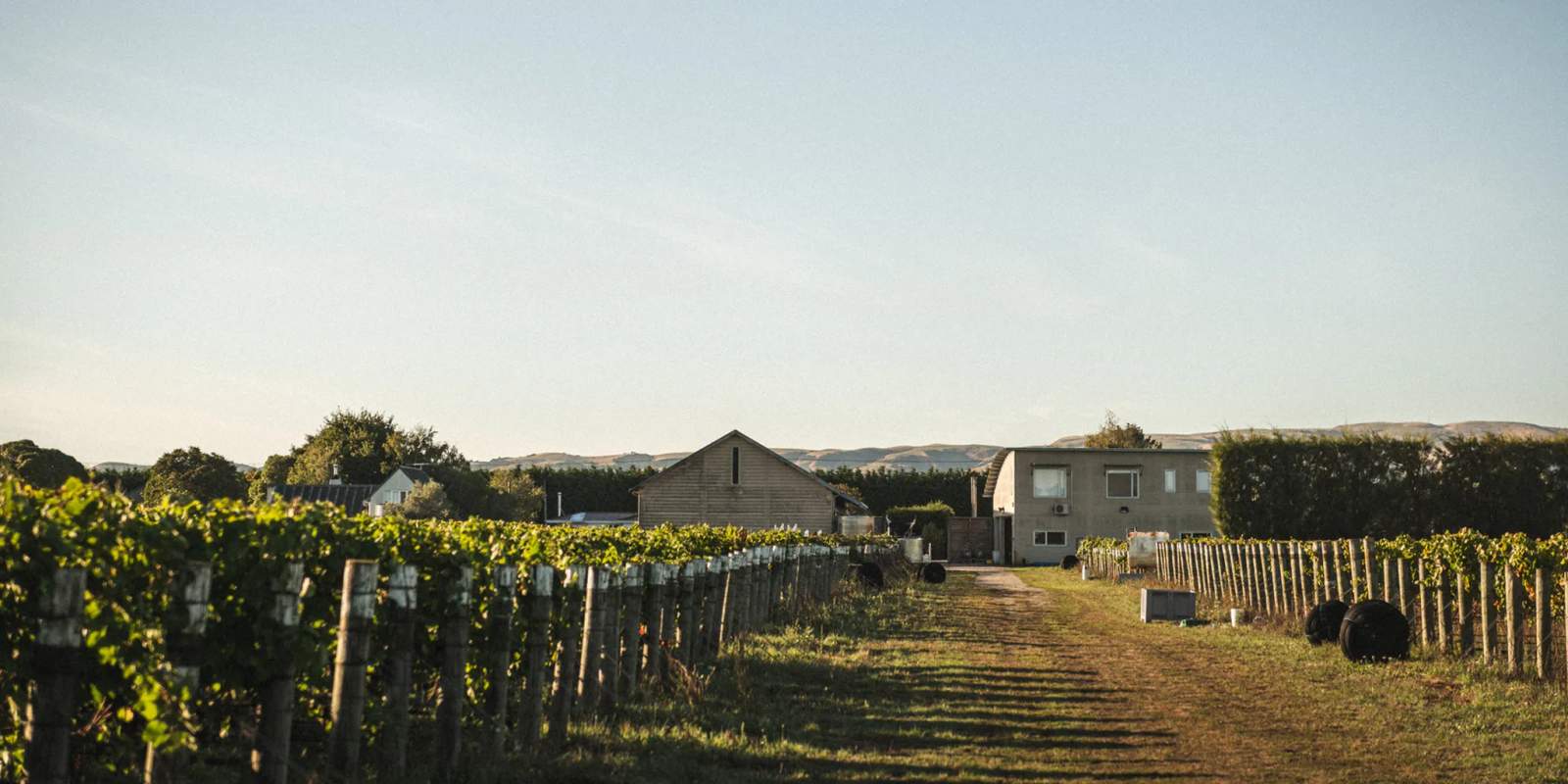 Martinborough Vineyard — photo 1