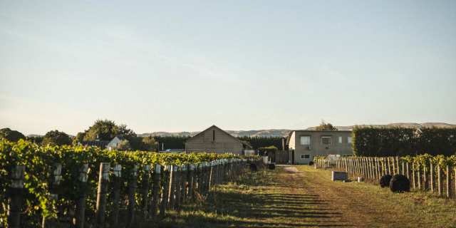 Martinborough Vineyard