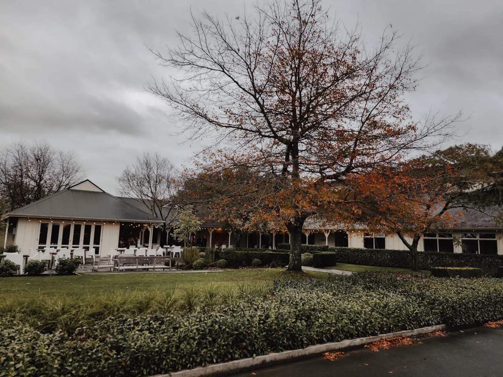 Palliser Estate Cellar Door — photo 4