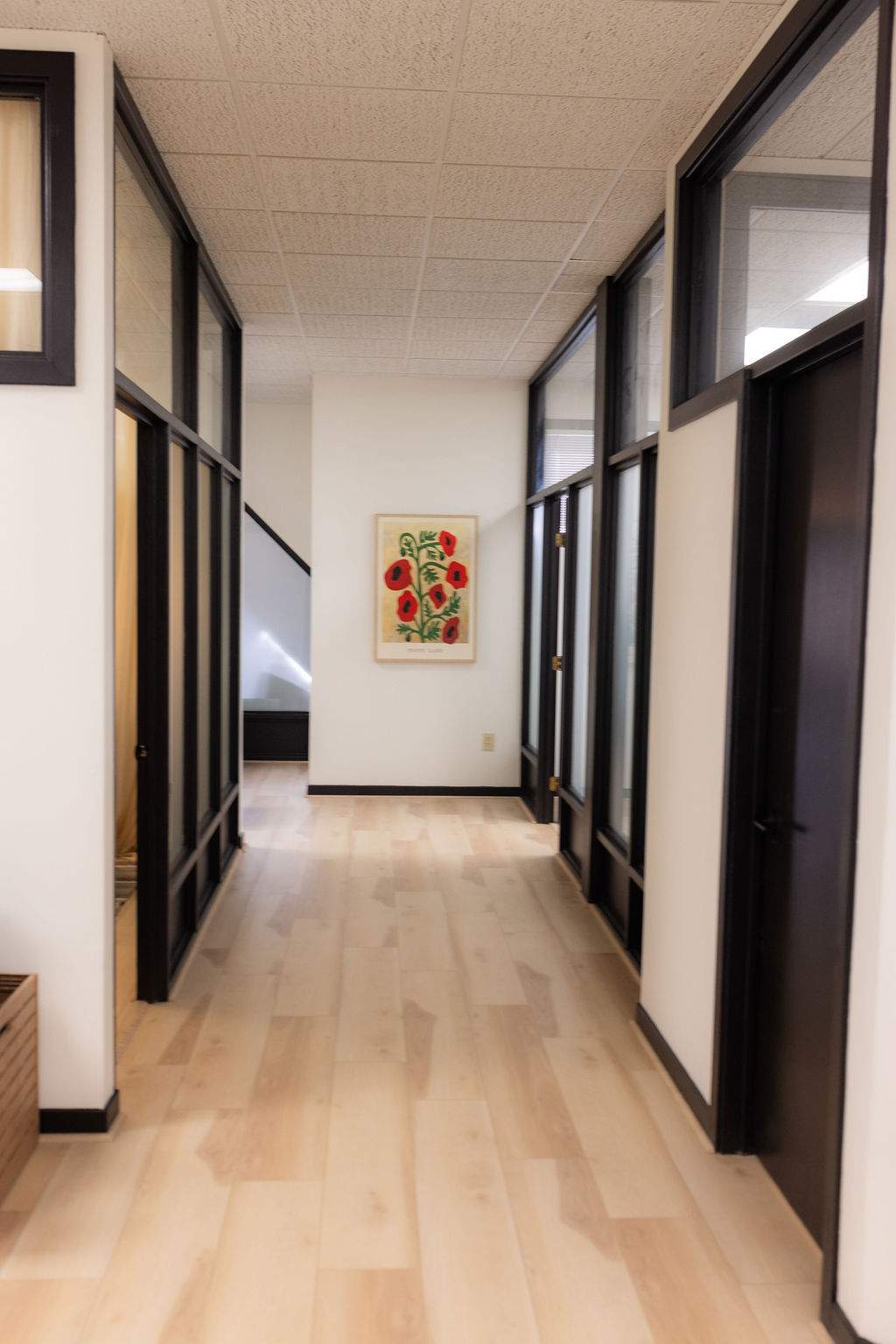Higher Ground Psychotherapy & Ketamine Studio — photo 3