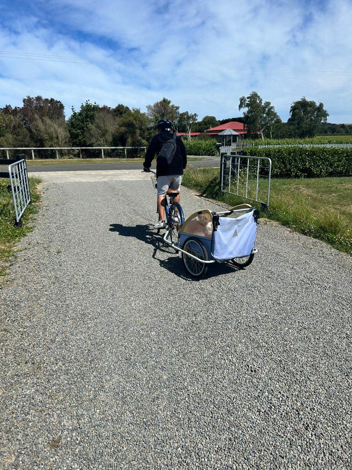 Indi Bikes Martinborough — photo 1