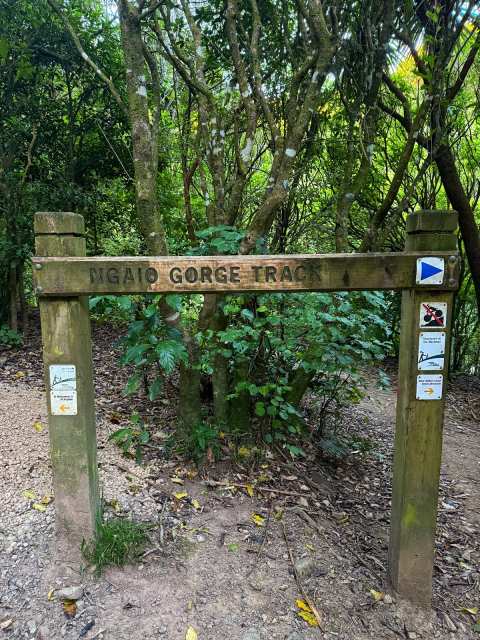 Trelissick Park — photo 3