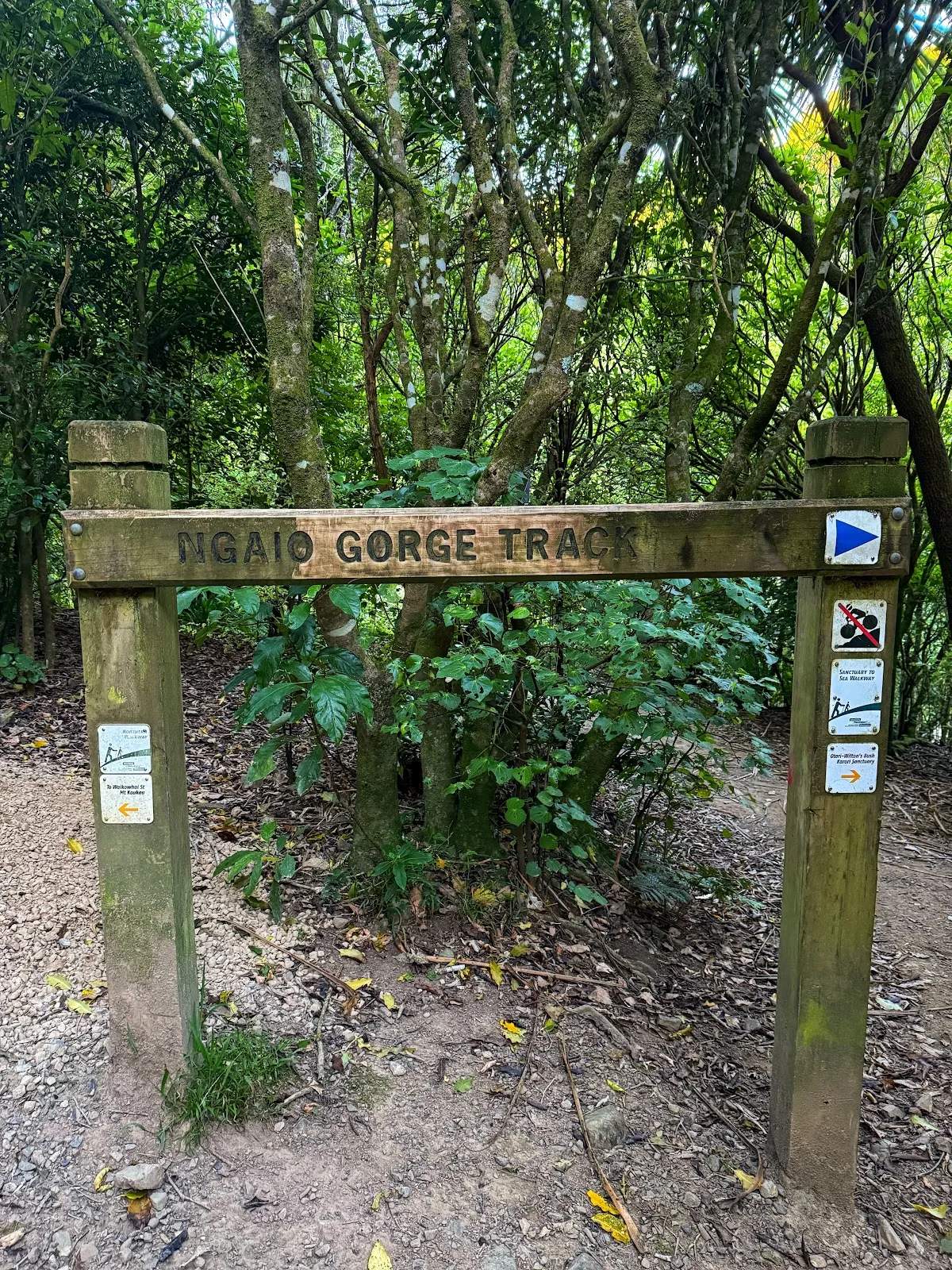 Trelissick Park — photo 3