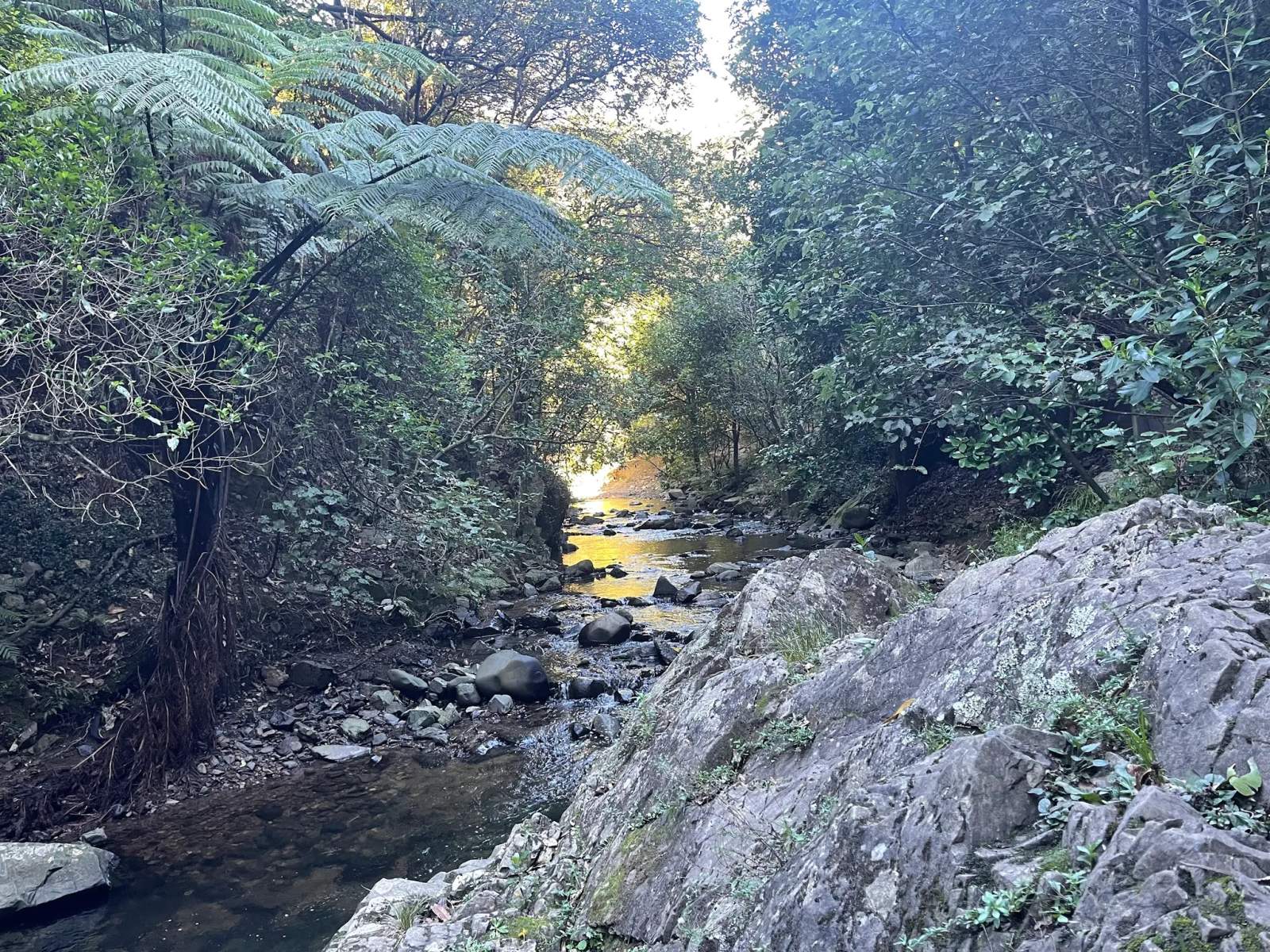 Trelissick Park — photo 1
