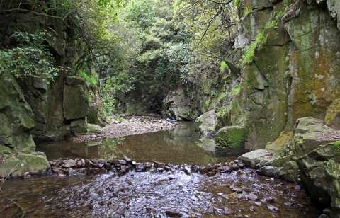 Trelissick Park — photo 2