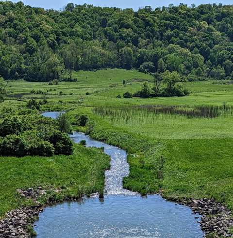 Sidie Hollow Park — photo 3