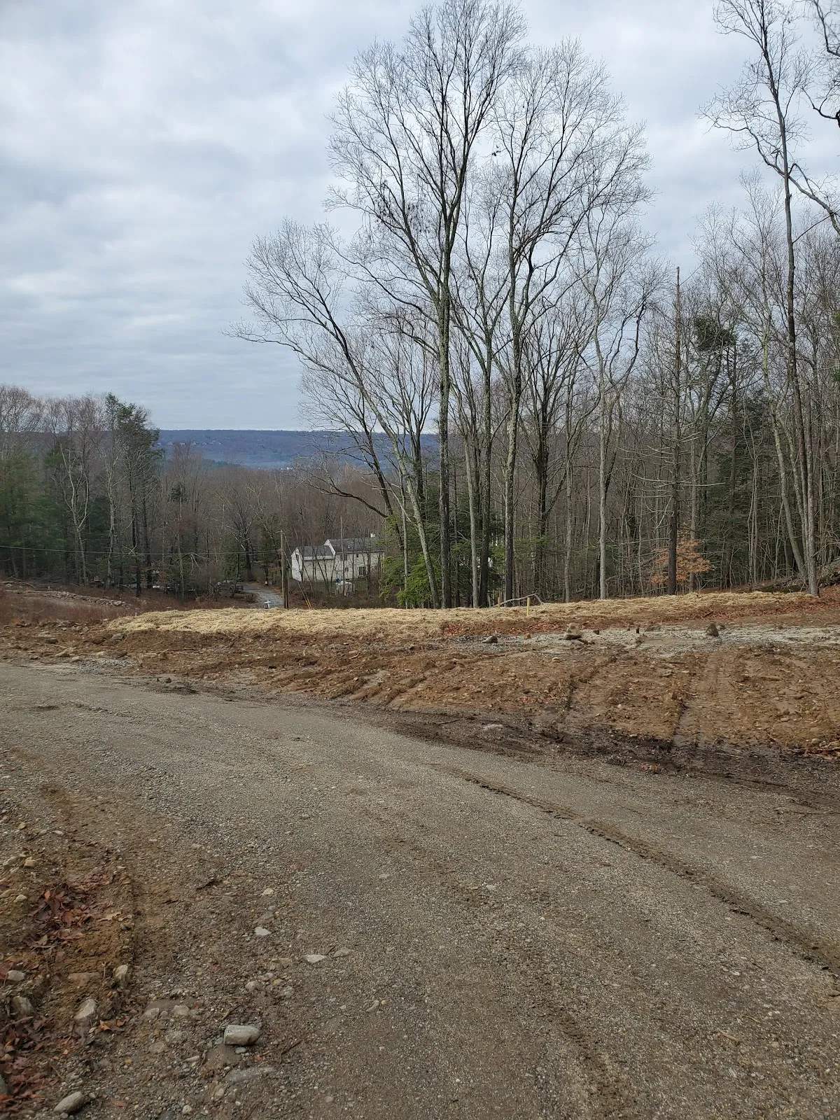 Barnhill Kennels — photo 3