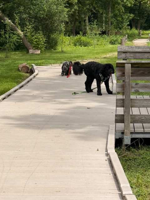 Settlers Park — photo 3