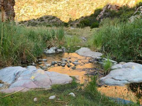 Badskloof Trail — photo 2