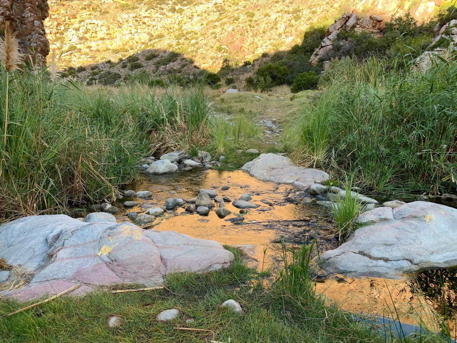 Badskloof Trail — photo 2