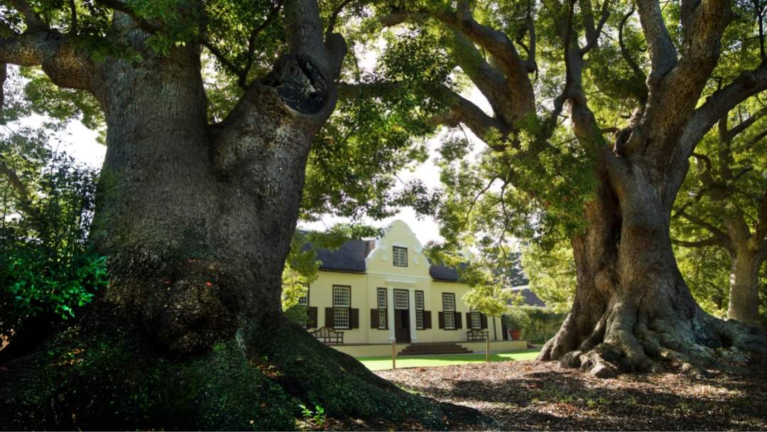 Vergelegen Wine Estate — photo 1