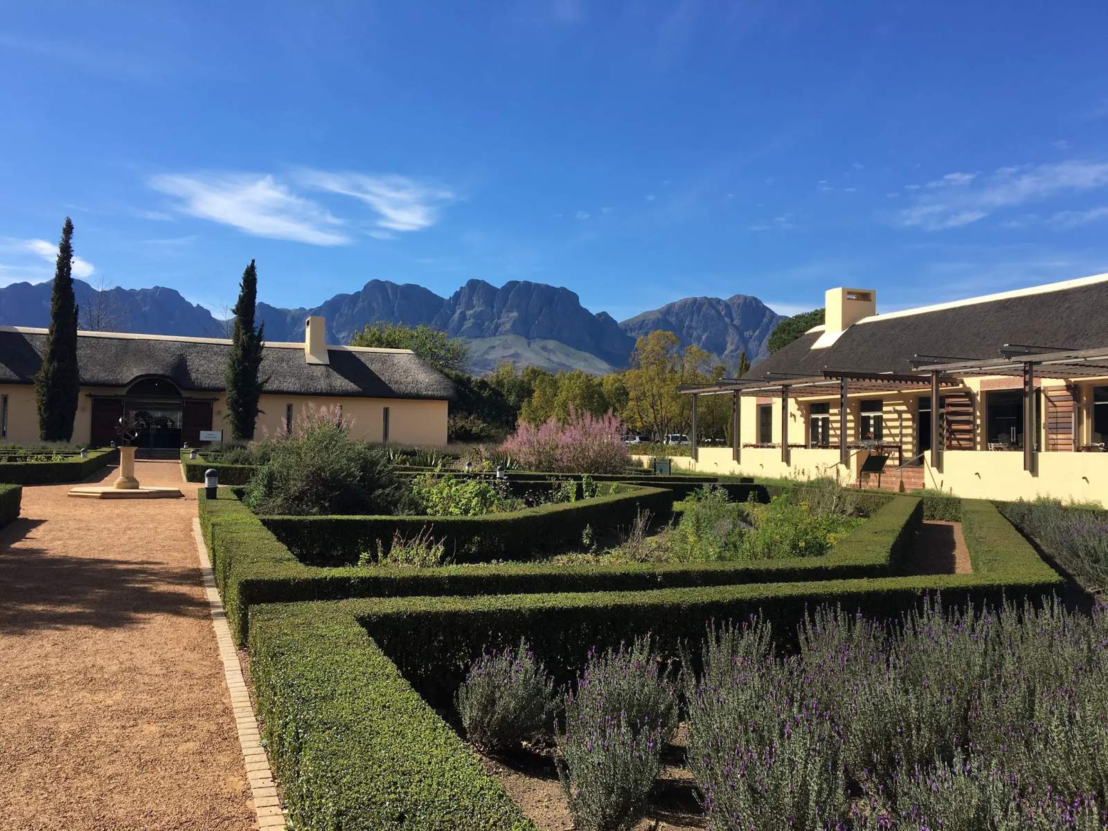 Vergelegen Wine Estate — photo 3