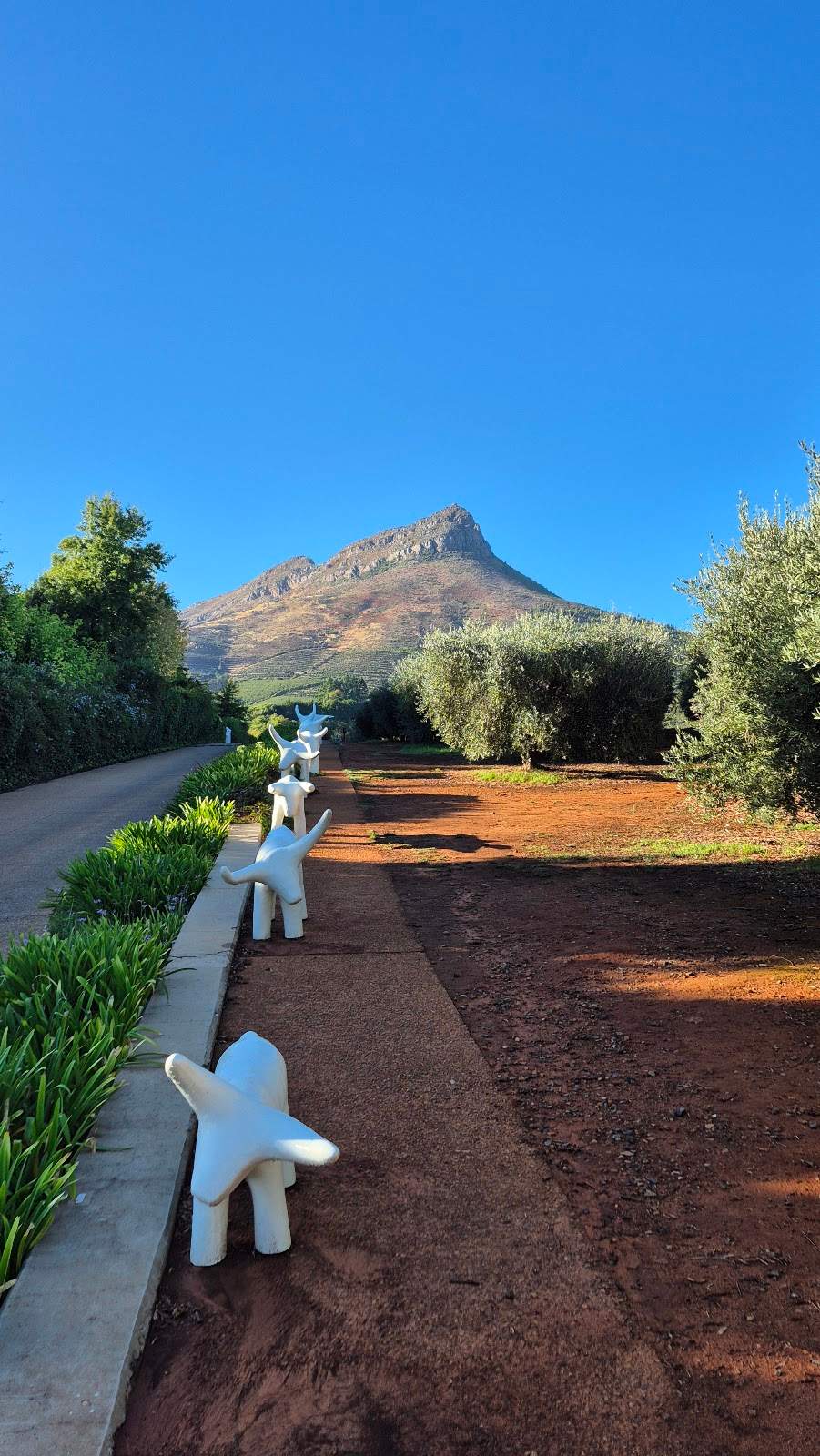 STELLENBOSCH WINE WALK — photo 3