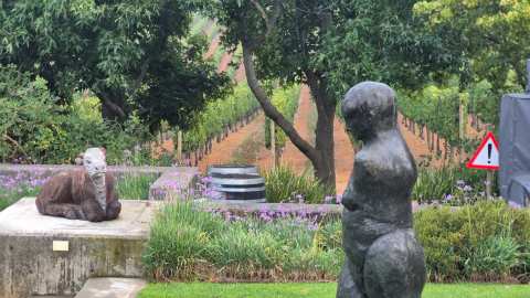 STELLENBOSCH WINE WALK — photo 5
