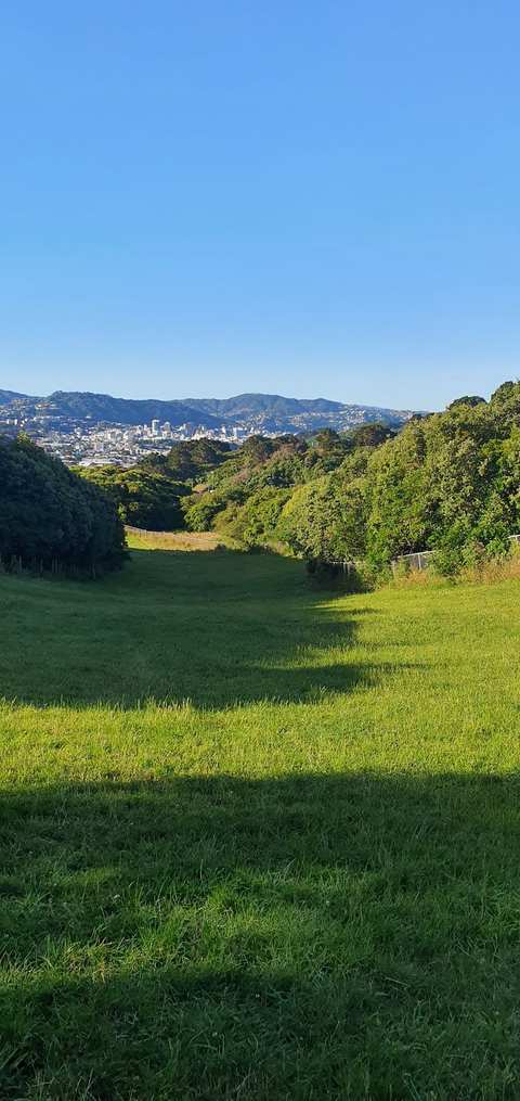 Mount Albert Park dog exercise area — photo 2