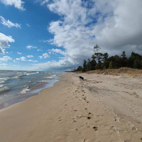 Kohler-Andrae State Park — photo 2