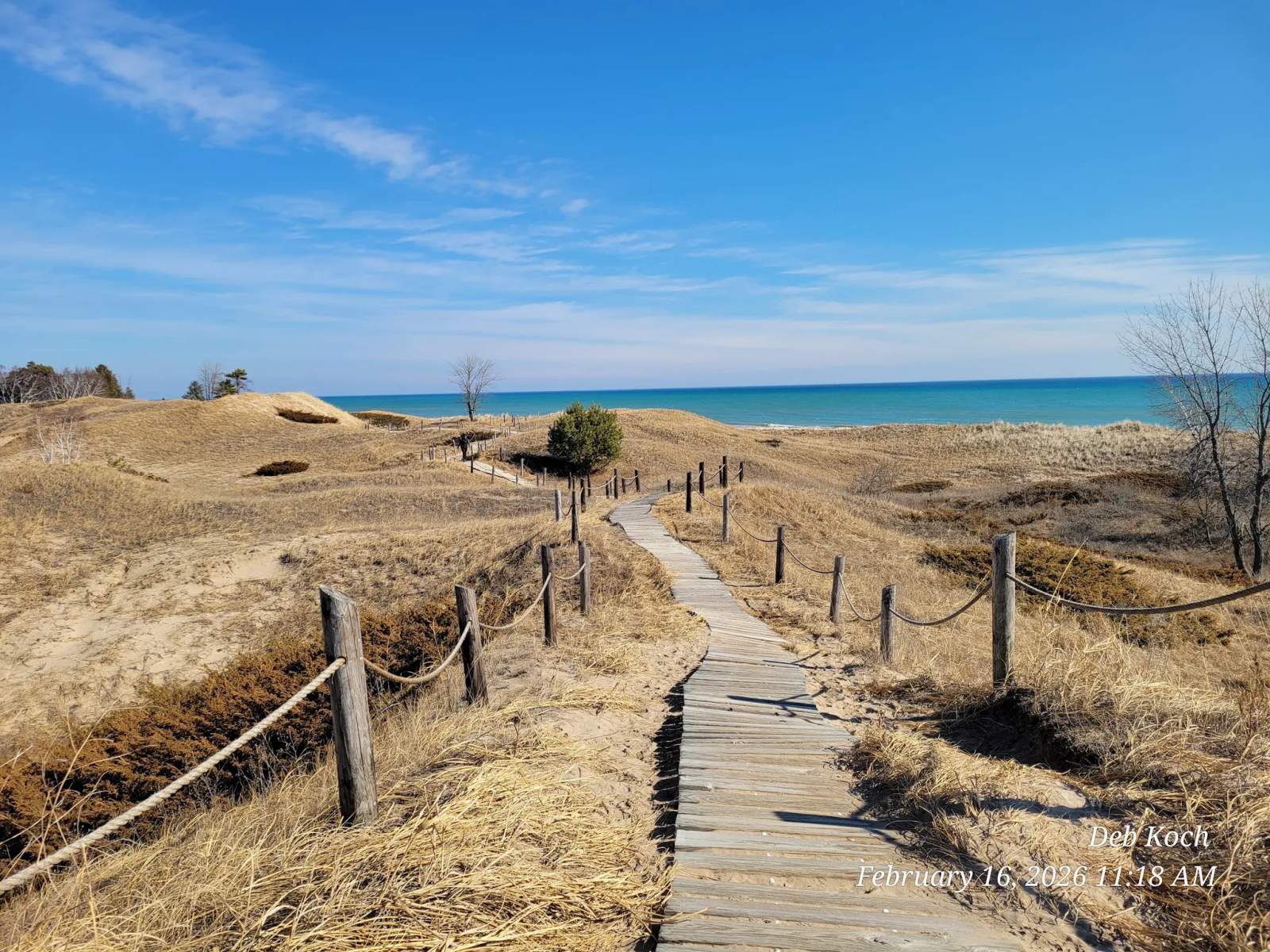 Kohler-Andrae State Park — photo 1