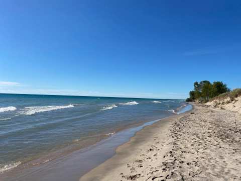 Kohler-Andrae State Park — photo 3