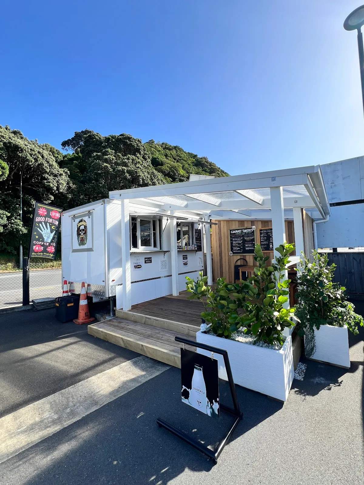 Samwidges (Samwidges_nz) — photo 2