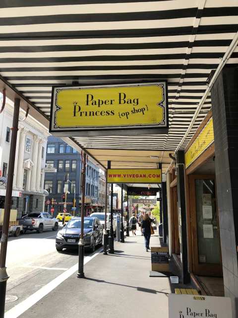 Paper Bag Princess — photo 3