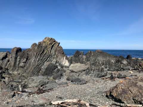 Te Kopahou Reserve — photo 3