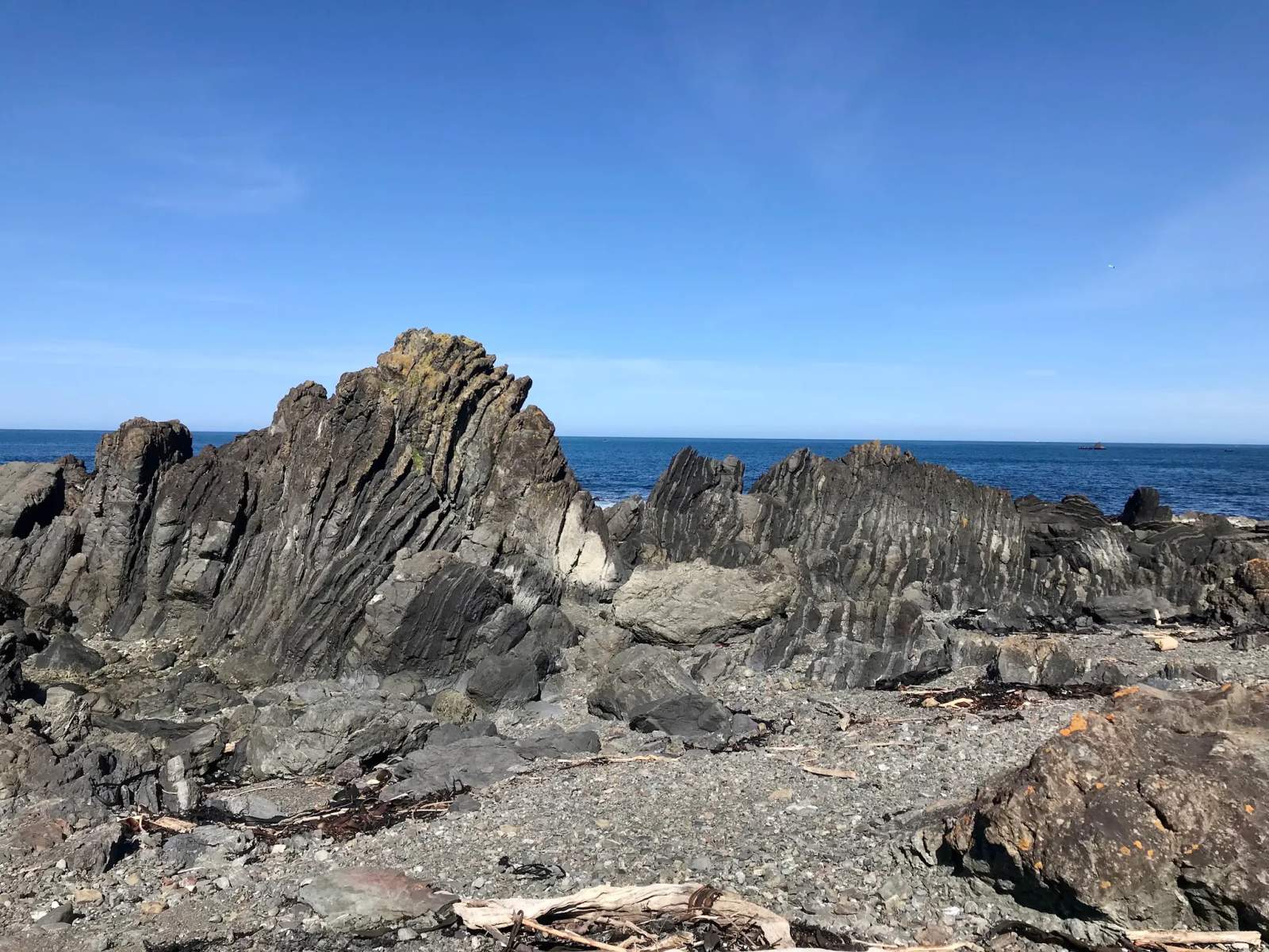 Te Kopahou Reserve — photo 3