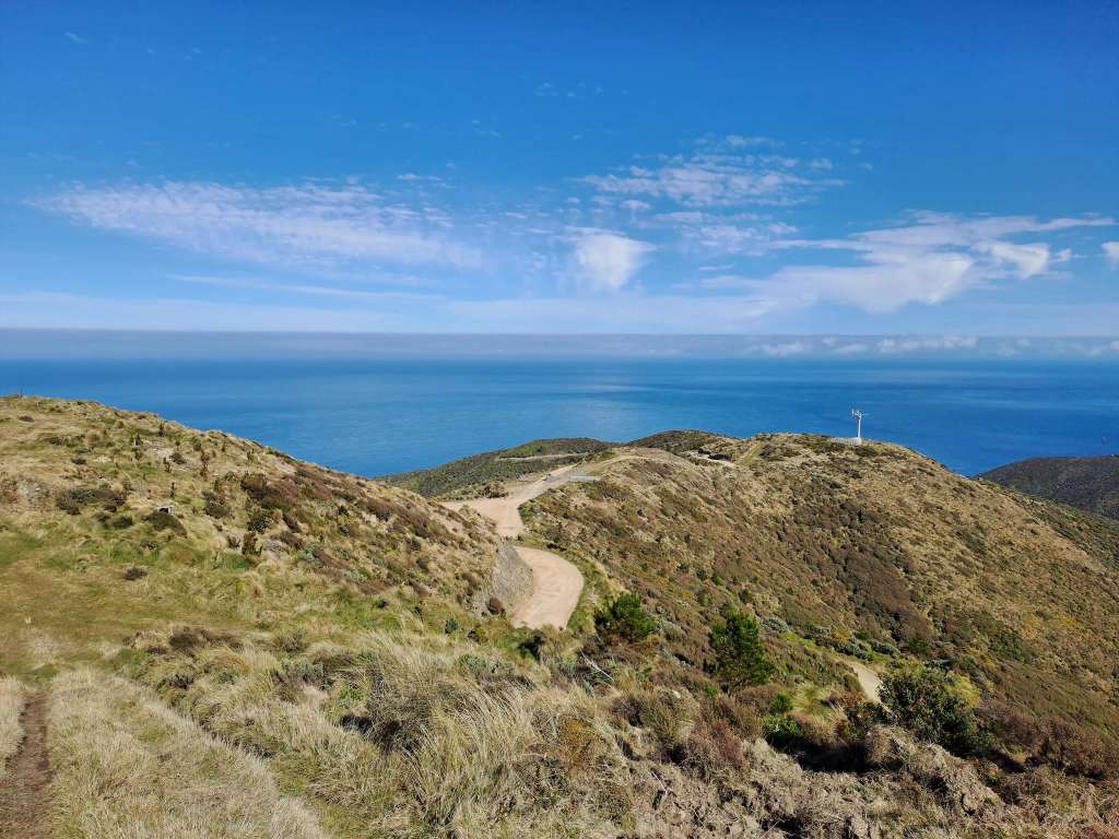Te Kopahou Reserve