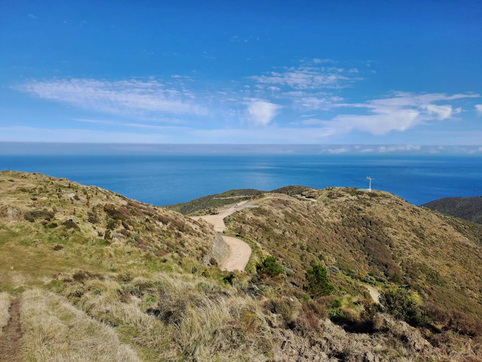 Te Kopahou Reserve — photo 1
