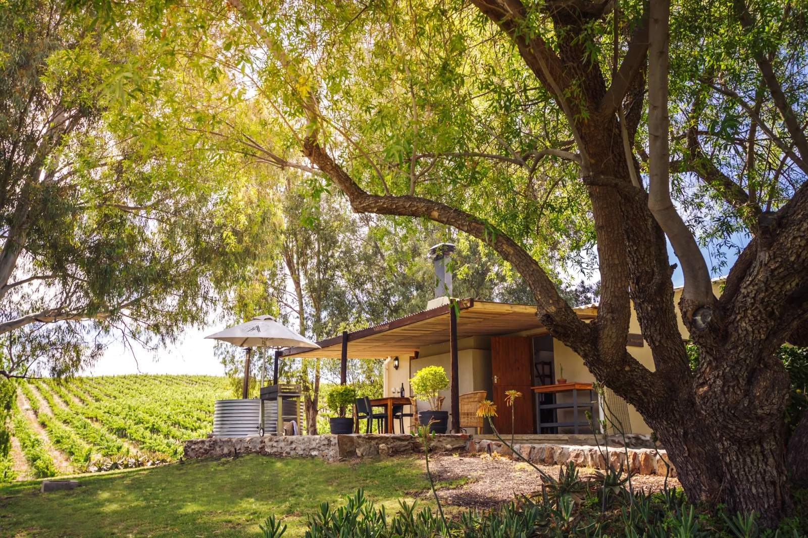 Arendsig Hand Crafted Wines — photo 3