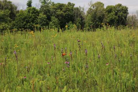 Glacial Lakes Conservancy — photo 2
