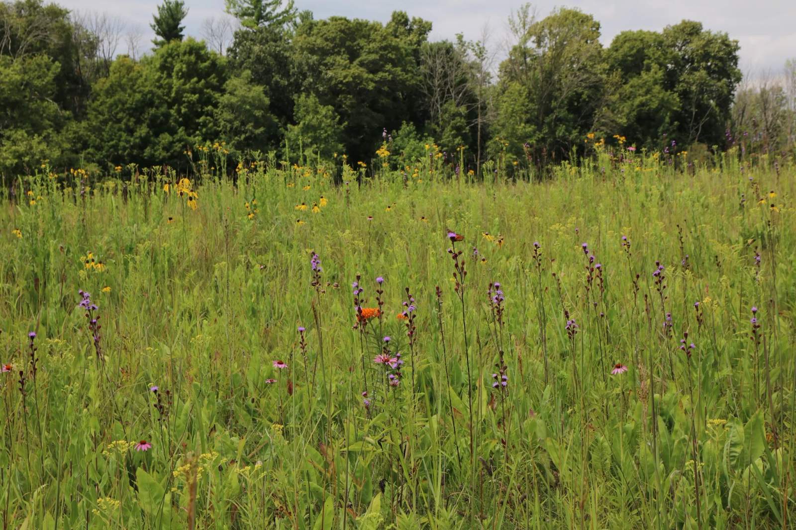 Glacial Lakes Conservancy — photo 2