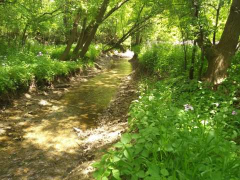 Glacial Lakes Conservancy — photo 3