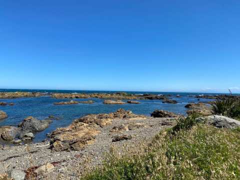 Owhiro Bay Beach — photo 2