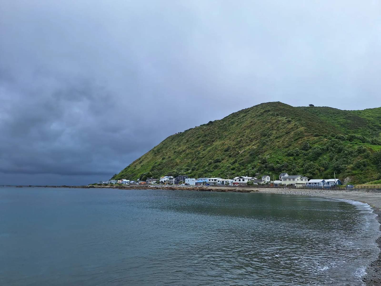 Owhiro Bay Beach — photo 3