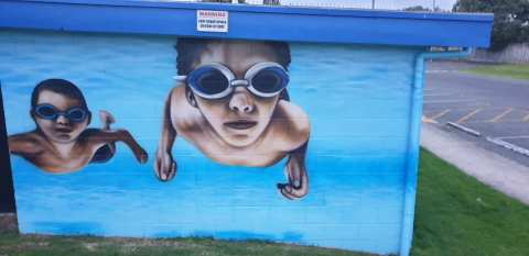 Dave Hume Pools — photo 3