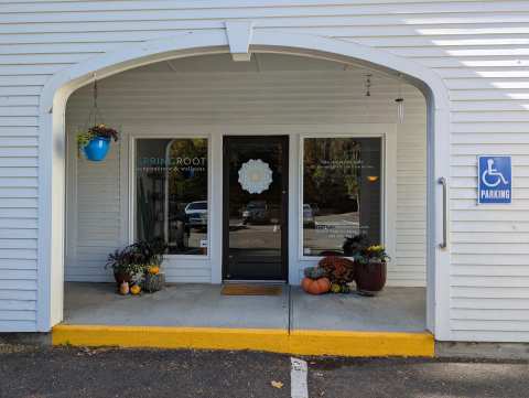 SpringRoot Acupuncture & Wellness — photo 2