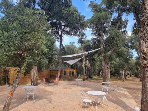Gîtes Les Pierres de la Massane d’Argelès sur Mer — photo 4