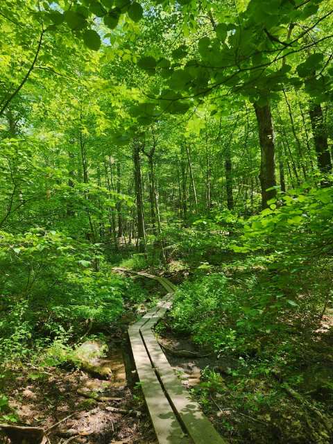 Whittemore Sanctuary — photo 2