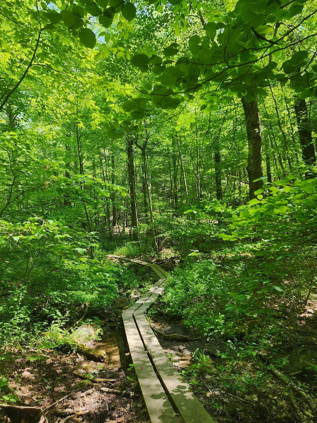 Whittemore Sanctuary — photo 2