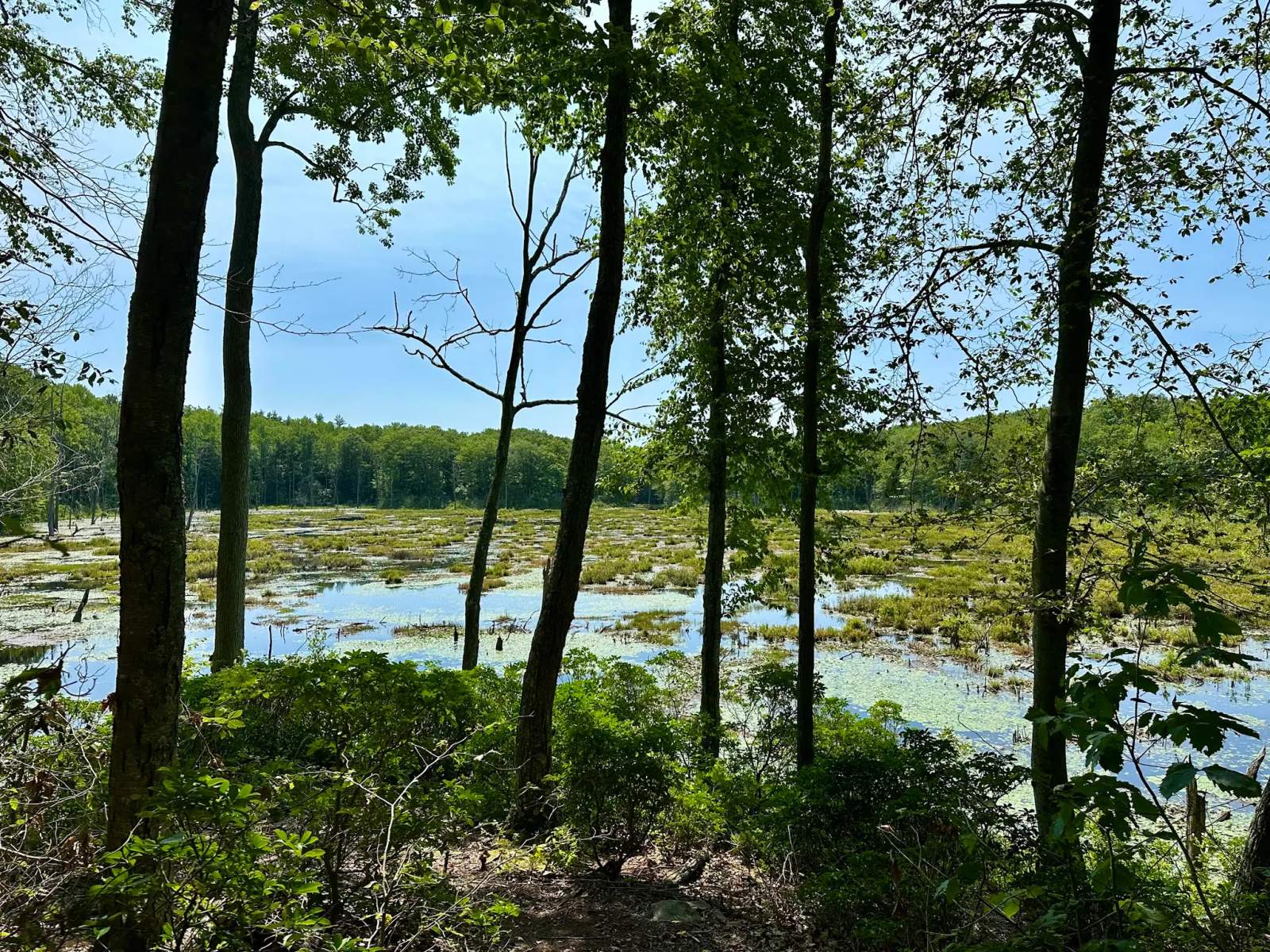 Whittemore Sanctuary — photo 1