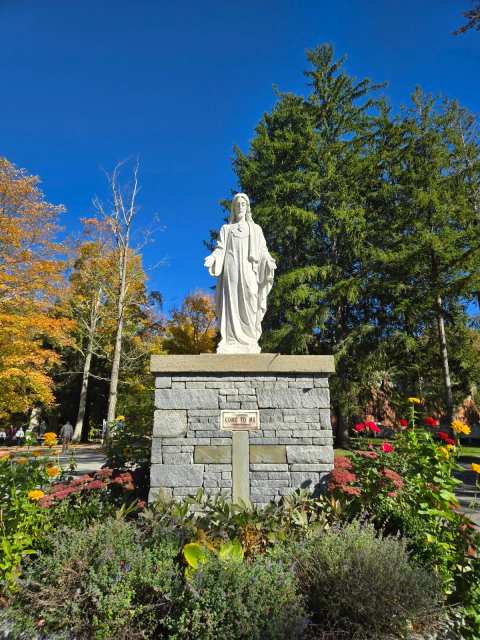 Lourdes in Litchfield — photo 3