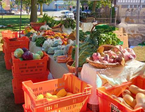 SCIO's Sheboygan Farmers Market — photo 2