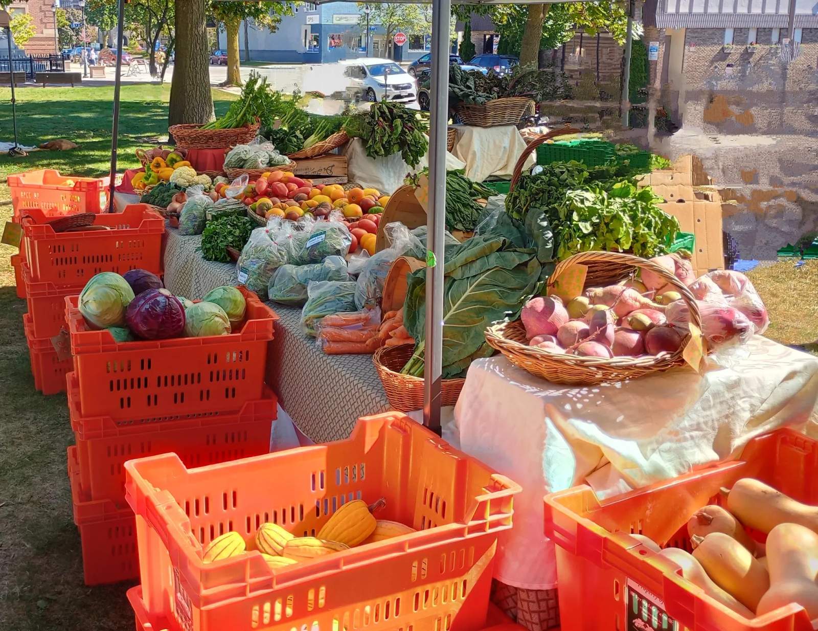 SCIO's Sheboygan Farmers Market — photo 2