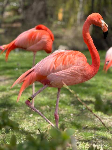 Milwaukee County Zoo — photo 2