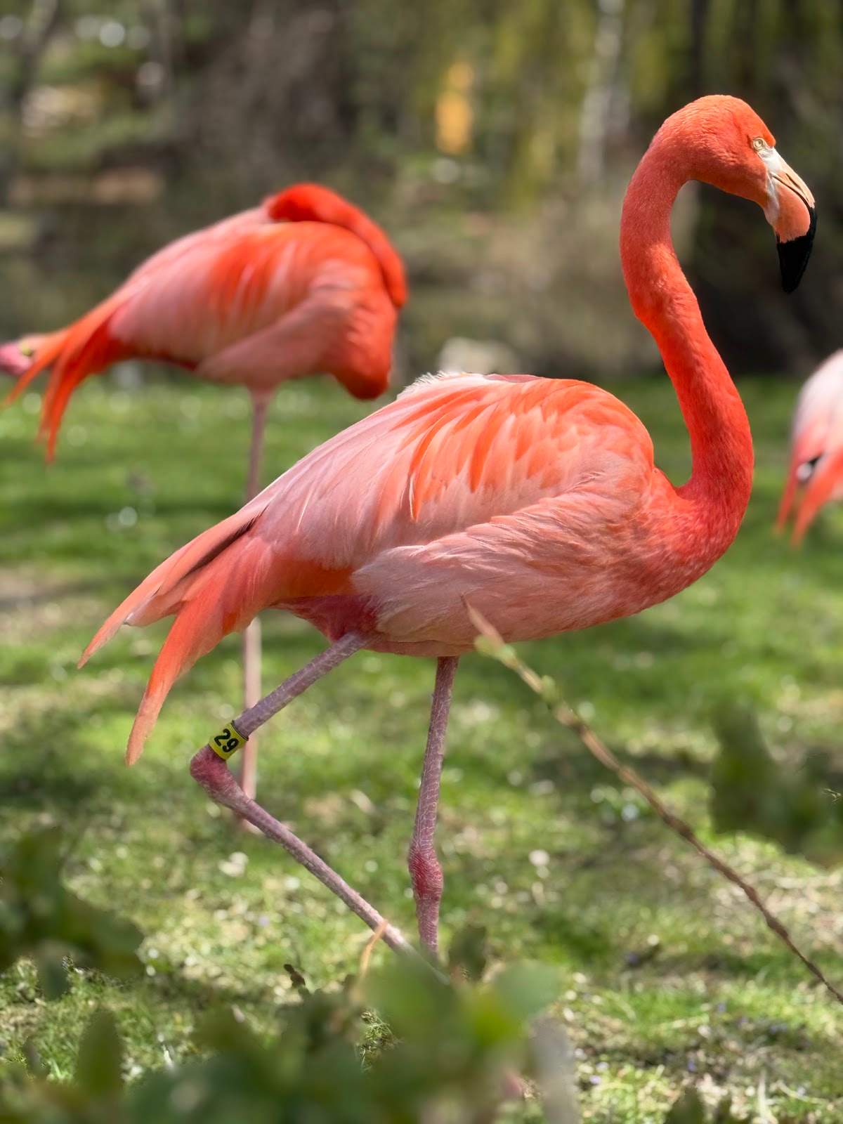 Milwaukee County Zoo — photo 2