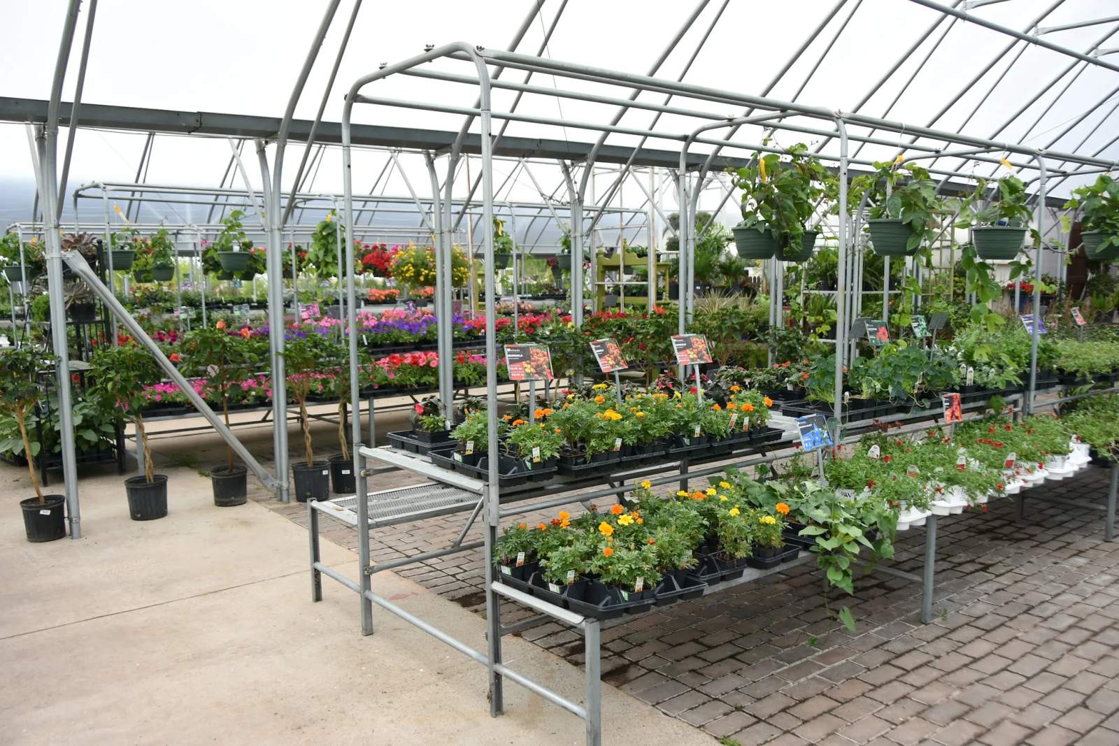 Schmalz Custom Landscaping & Garden Center — photo 2