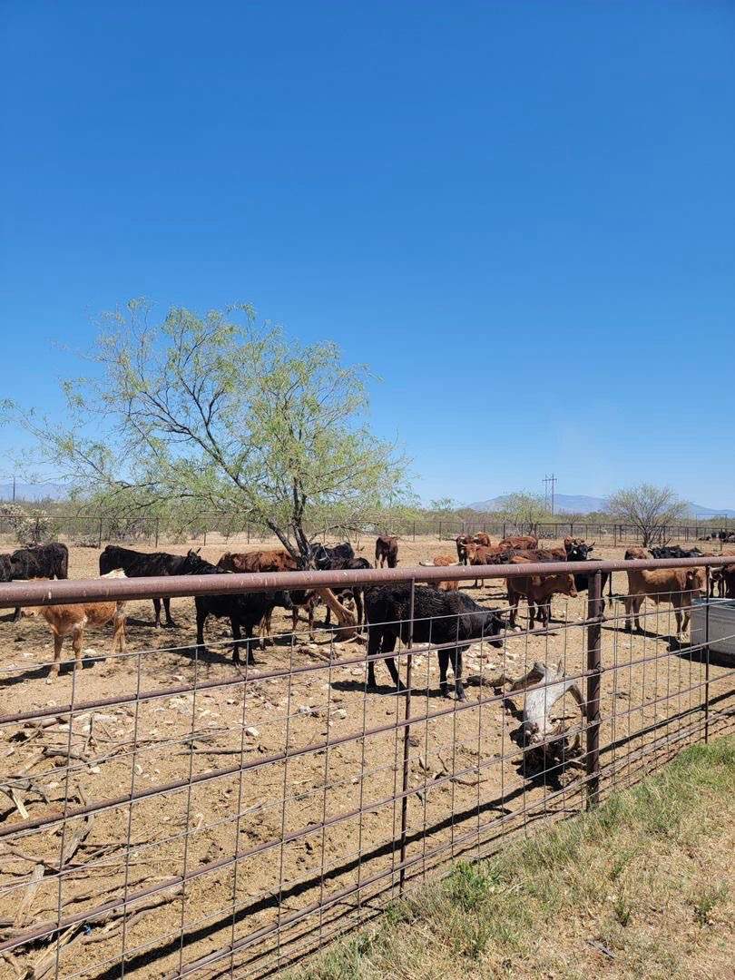 Rare Earth Farm — photo 1